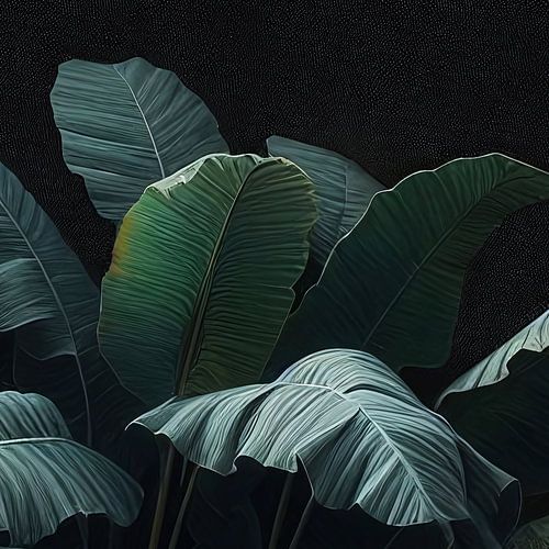 DARK BOTANICAL-3-Q2 sur Pia Schneider