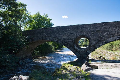 De Teifi stroomt onder de Cenarth Bridge door