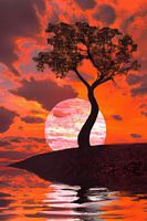 Vlammend rode zonsondergang met boom silhouet staand