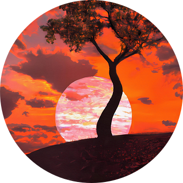Vlammend rode zonsondergang met boom silhouet staand van Maud De Vries