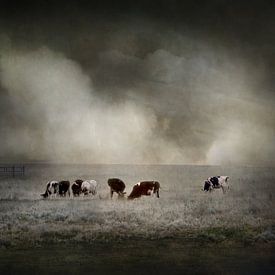 Under the threatening sky by Iris van Heusden