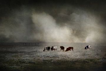Under the threatening sky