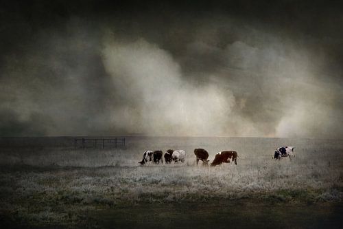 Under the threatening sky