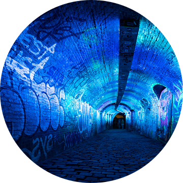 Blauwe tunnel van Brigitte Mulders