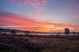 goedemorgen by Lisa Jansen