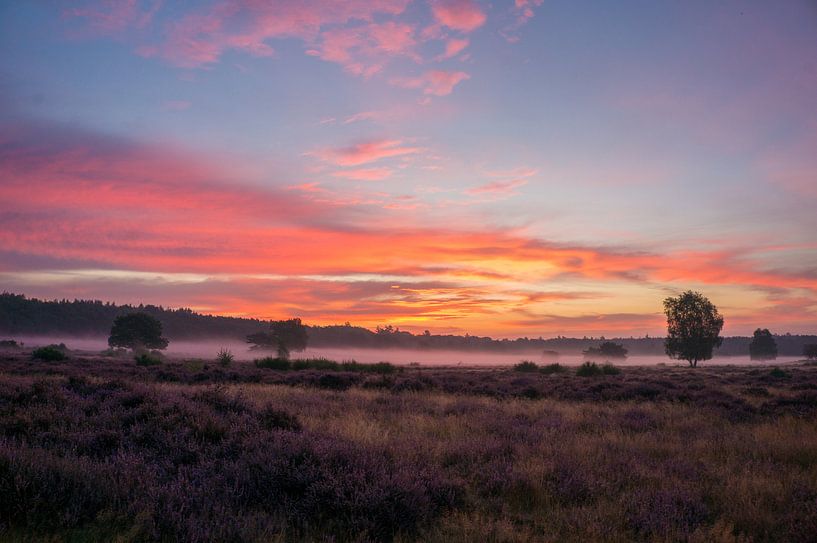 goedemorgen by Lisa Jansen
