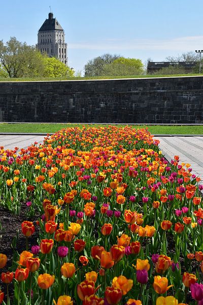 Les jardins de l'hôtel du Parlement au printemps par Claude Laprise