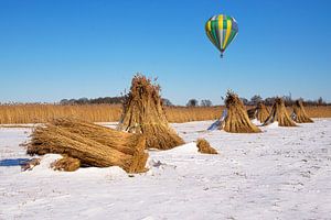 Natuurpark de Weeribben en luchtballon van Coby Bergsma