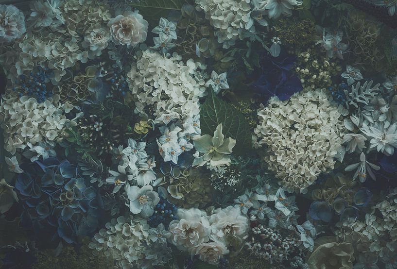 Hydrangeas &amp; Hedgeroses by Marina de Wit