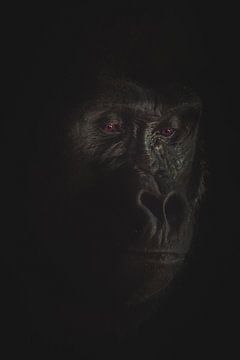 Gorilla portret lowkey van Nienke Bot