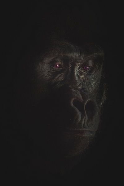 Gorilla-Porträt lowkey von Nienke Bot
