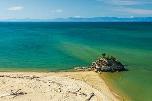 Tropisch strand met de zee bij Abel Tasman, Nieuw-Zeeland van Paul van Putten