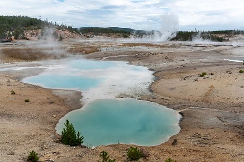 Yellowstone National Park