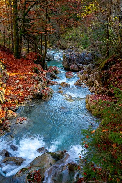 Bach im Herbst von Dirk Rüter