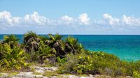 Maya ruïnes in Tulum van Otto Kooijman thumbnail