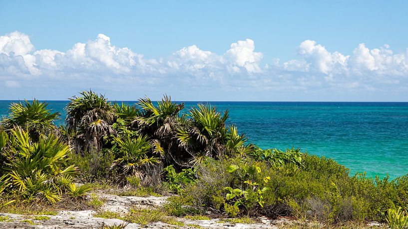 Maya ruïnes in Tulum van Otto Kooijman