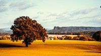 Herbstlandschaft