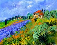 Provence