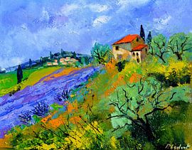 Provence von pol ledent