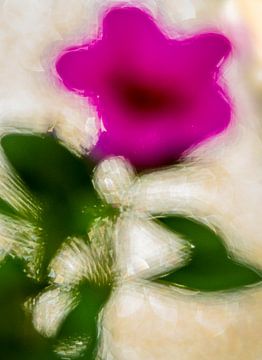 Roze bloem met groene bladeren van Edith Frieling