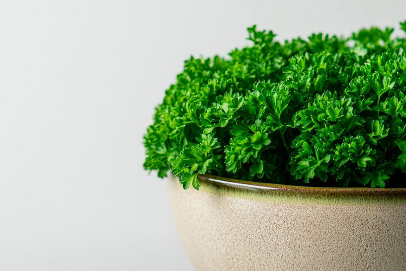 Herb pot by Poster Art Shop