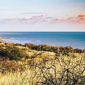 Réserve naturelle 't Oerd on Ameland avec vue sur la mer des Wadden sur Lizanne van Spanje