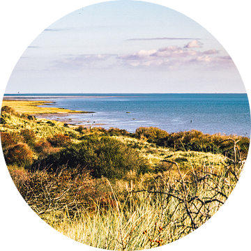 Natuurgebied 't Oerd op Ameland met uitzicht op de Waddenzee van Lizanne van Spanje