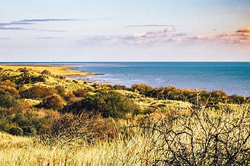 Réserve naturelle 't Oerd on Ameland avec vue sur la mer des Wadden sur Lizanne van Spanje