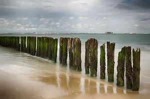 Meerblick Zeeland