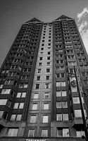 Rotterdam Arcitcator