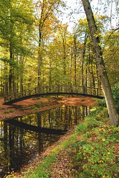Brücke in einem herbstlichen Wald von Jurjen Jan Snikkenburg