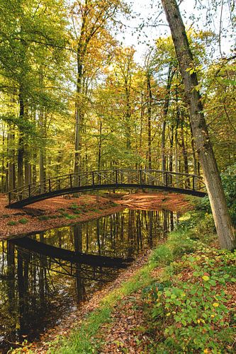 Bruggetje in een herfstig bos