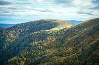 Mountain hut in the Vosges among autumn colours