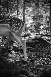 Oh je. von Angela Pondaag