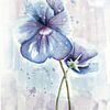 Fraaie wanddecoratie. Aquarel schilderij van een lila paars viooltje. Deze kleurige bloemen staan mo van Emiel de Lange