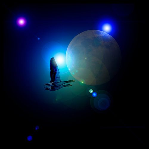 BESTEMMING (ON)BEKEND