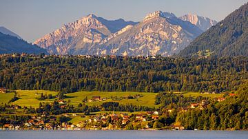 Le lac de Thoune dans l'Oberland bernois