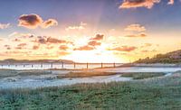 Cadzand shot