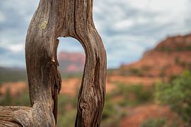 Through the eye of the needle by Ton Tolboom