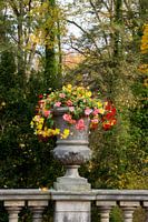 Renaissance flowers