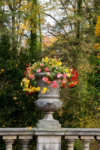 Renaissance Blumen von Lavieren Photography