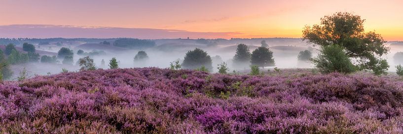 Panorama of the Posbank by Dennisart Fotografie