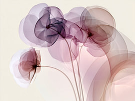 Violette Blumen – minimalistische Eleganz 02