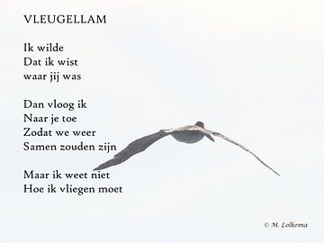 Vleugellam by M Lolkema