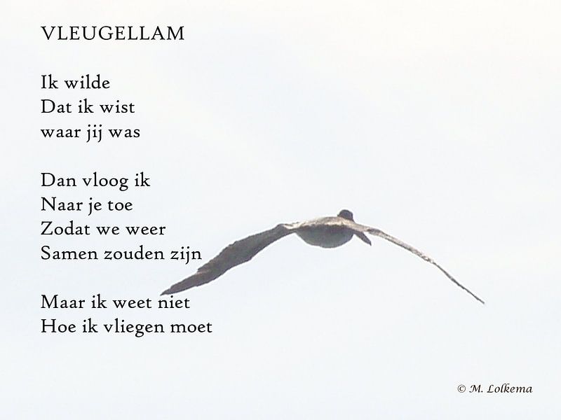 Vleugellam by M Lolkema