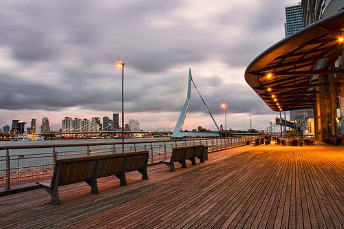 Uitzicht op de Erasmusbrug Rotterdam