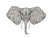 Illustration Elefant von Marijn Broeks Miniaturansicht