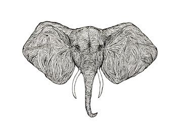 Illustration Eléphant sur Marijn Broeks