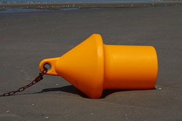 Bouée sur Erick van Bommel