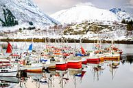 Vissersboten bij Sildpollneset in de Austnesfjorden in de Lofoten in Noorwegen van Sjoerd van der Wal Fotografie thumbnail